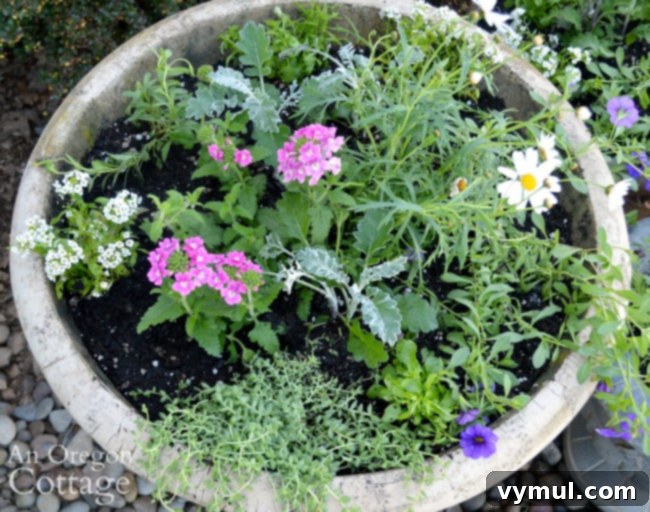 3 Genius Container Gardening Ideas and Must-Know Tips 12 Large container planted with diverse flowers