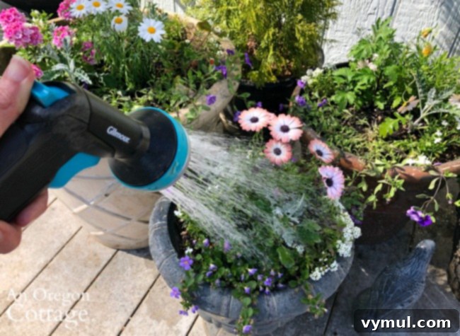 3 Genius Container Gardening Ideas and Must-Know Tips 13 Watering a container garden with a gentle nozzle