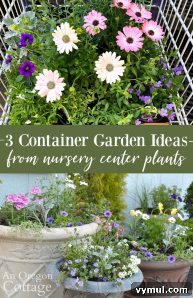3 Genius Container Gardening Ideas and Must-Know Tips 16 3 Container Garden Ideas from nursery center plants for sunny patios