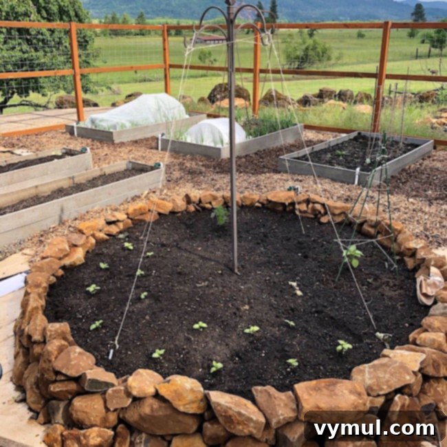 Summer Simplified Light Packs and Seasonal Plates 4 Late May Rock Bed Garden progress