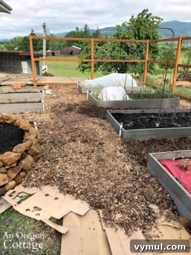 Budget Garden Watering Made Easy 15 Raised bed garden-laying wood chip paths