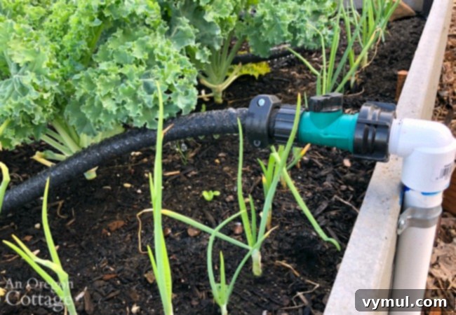 Budget Garden Watering Made Easy 18 Testing Watering System soaker hose in raised bed