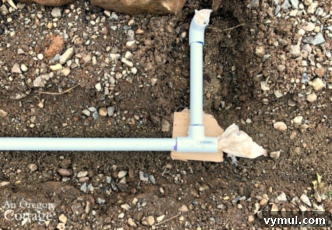 Budget Garden Watering Made Easy 9 Tip for keeping lines clean-automatic water system