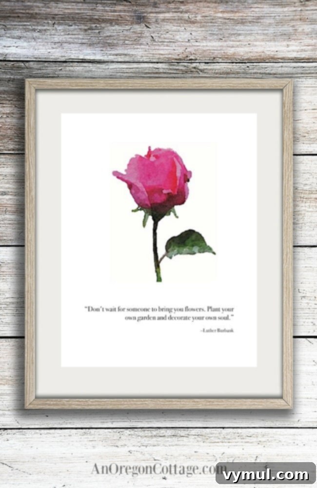 Framed printable wall art featuring a dark pink rose watercolor and an inspirational garden quote by Luther Burbank