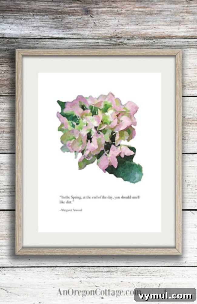 Framed printable wall art featuring a pink and green hydrangea watercolor and an inspiring garden quote by Margaret Atwood