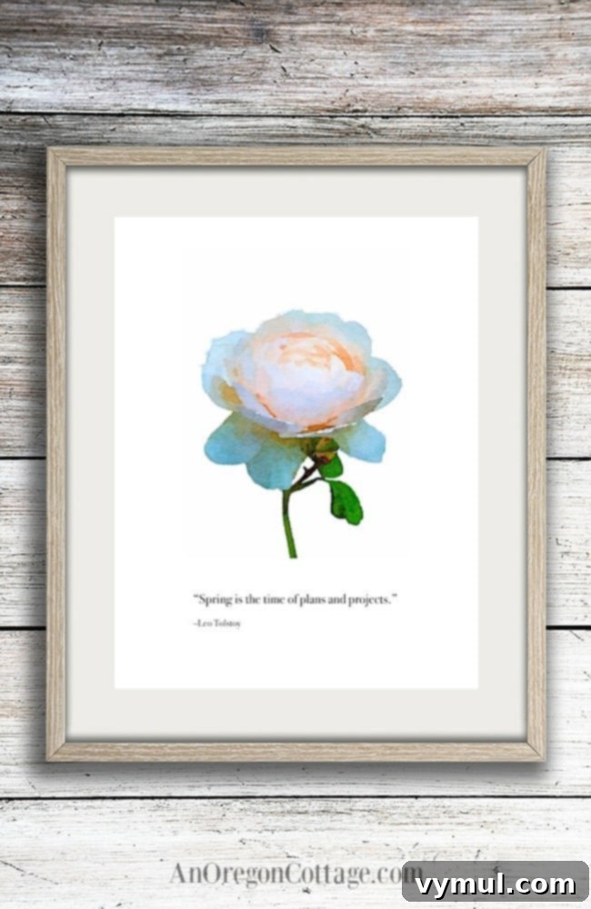 Framed printable wall art featuring a blush pink Abraham Darby rose watercolor and an inspiring garden quote by Leo Tolstoy
