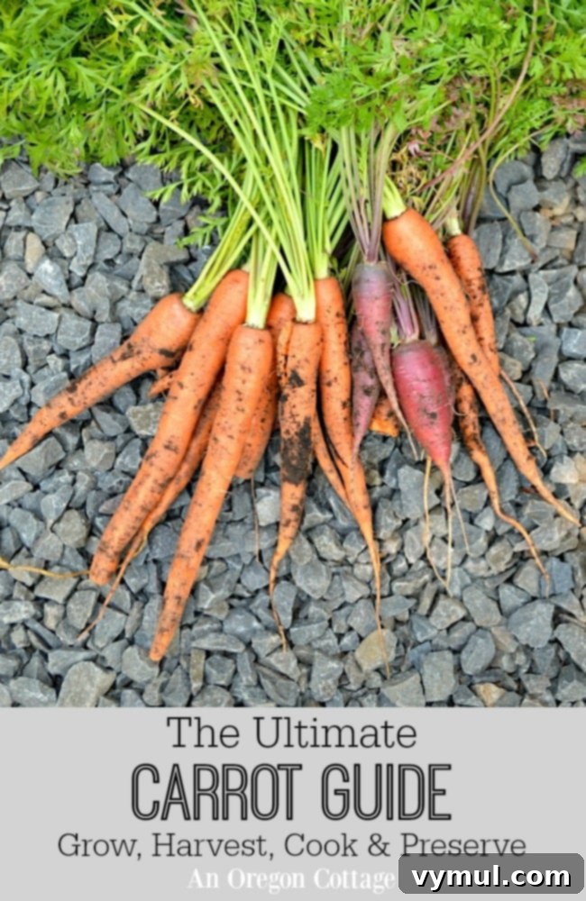 The Ultimate Carrot Guide featuring fresh carrots on a wooden board
