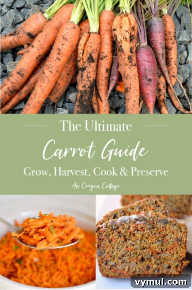 Ultimate Carrot Guide pin image with a collection of fresh carrots and various carrot dishes.