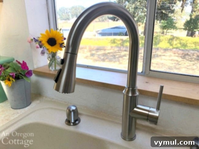 Edition 17: Our $20 Bathroom Glow-Up, August Blooms and Summer Reading 4 New gooseneck kitchen faucet
