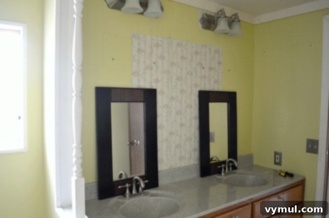 Edition 17: Our $20 Bathroom Glow-Up, August Blooms and Summer Reading 5 MFH Master Bath before