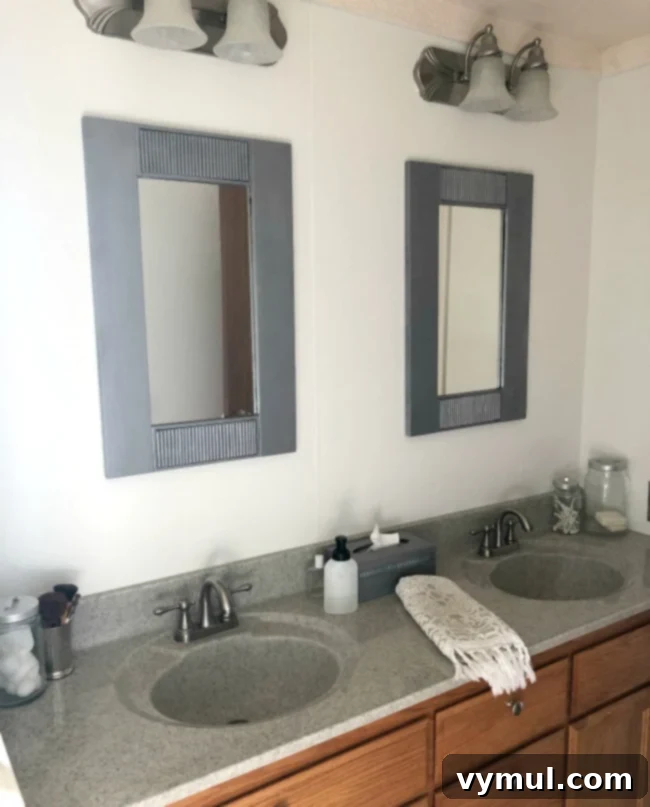 Edition 17: Our $20 Bathroom Glow-Up, August Blooms and Summer Reading 6 painted master sink area after