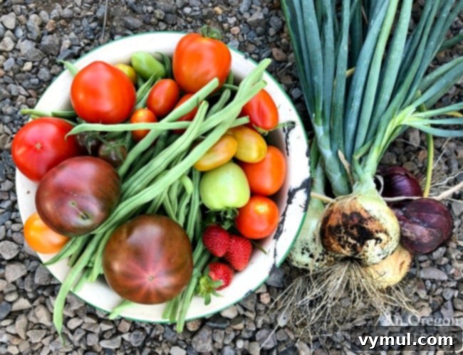 Edition 17: Our $20 Bathroom Glow-Up, August Blooms and Summer Reading 9 Early August vegetable harvest