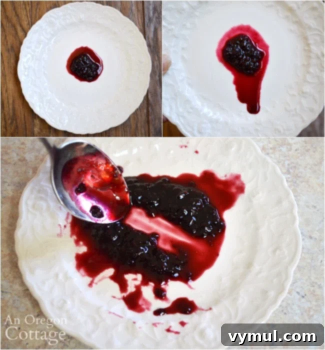 Testing blackberry jam gel on plate