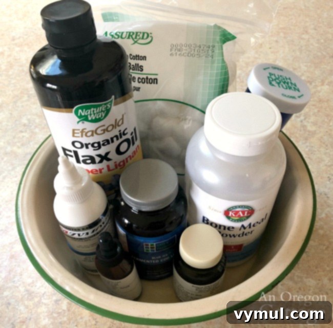 Cherishing Every Wag Life with an Older Canine 4 old dog supplements