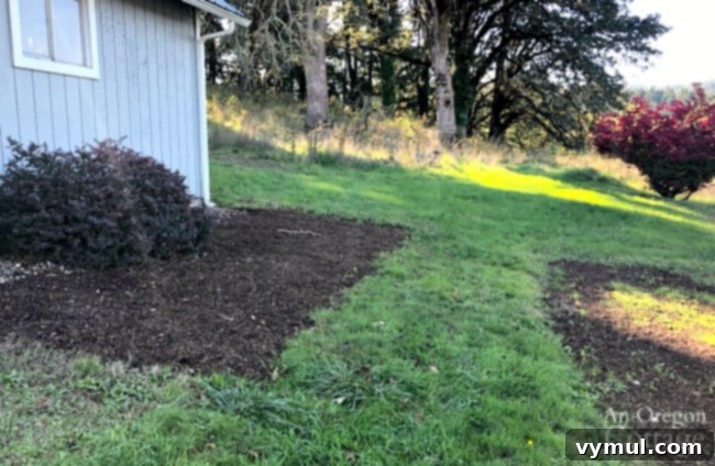 Autumn's Agenda: Garden Prep, Weekly Meals & Seasonal Delights 5 Other areas reseeded on property