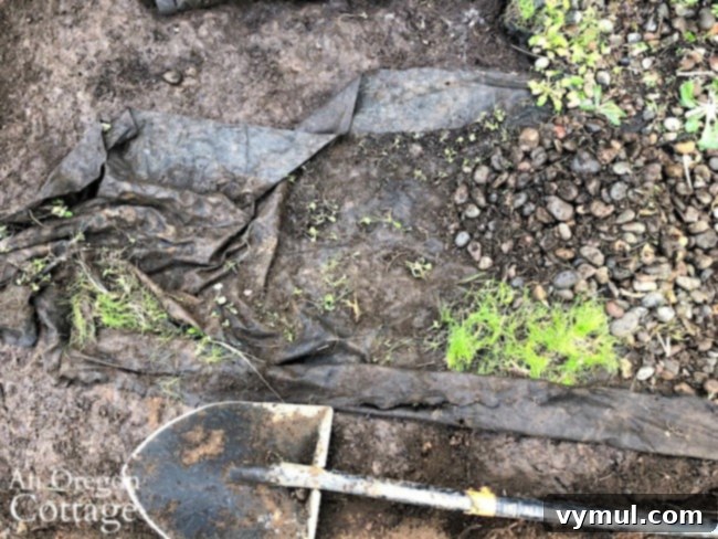 Autumn's Agenda: Garden Prep, Weekly Meals & Seasonal Delights 6 Weed-filled landscape fabric