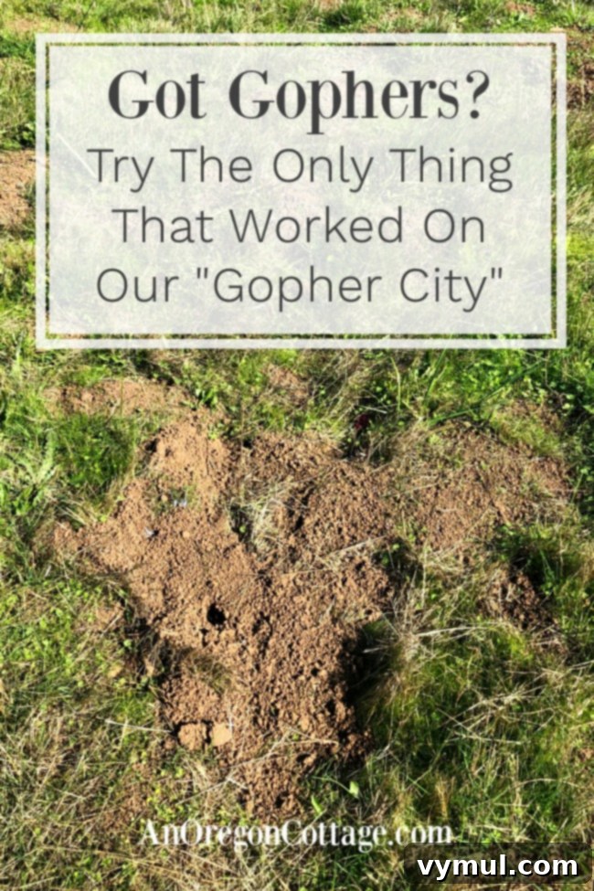 The Single Surefire Way to Banish Gophers 6 Got gophers? Discover the ultimate solution here!