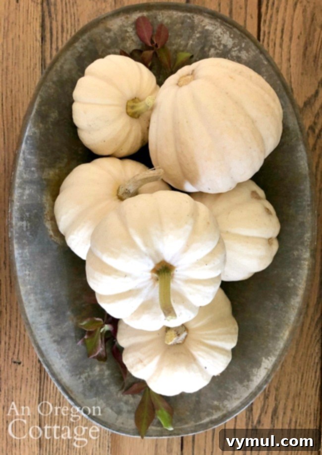 Simple & Serene Fall Home Refresh 6 baby boo white pumpkins on galvanized tray