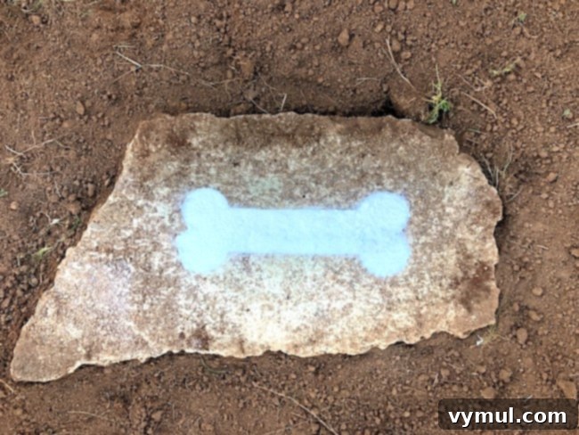 Podcast 65: Unconventional Thanksgiving: Family Revelations and Bold Bites 3 Samson's bone marker