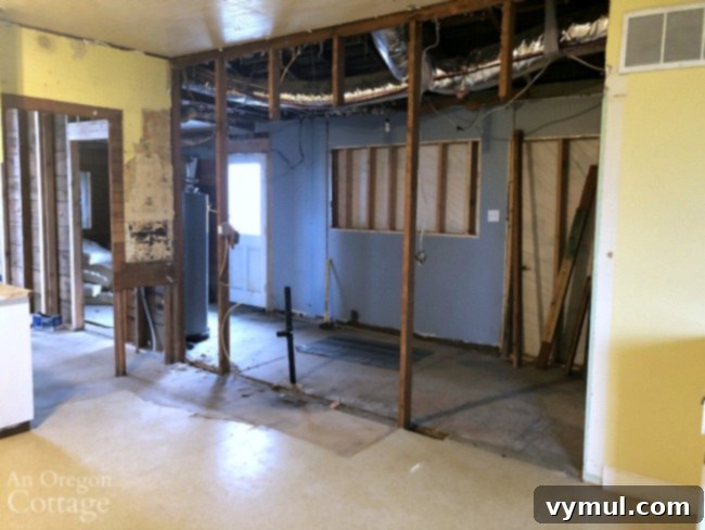 Podcast 65: Unconventional Thanksgiving: Family Revelations and Bold Bites 5 farmhouse kitchen wall demo