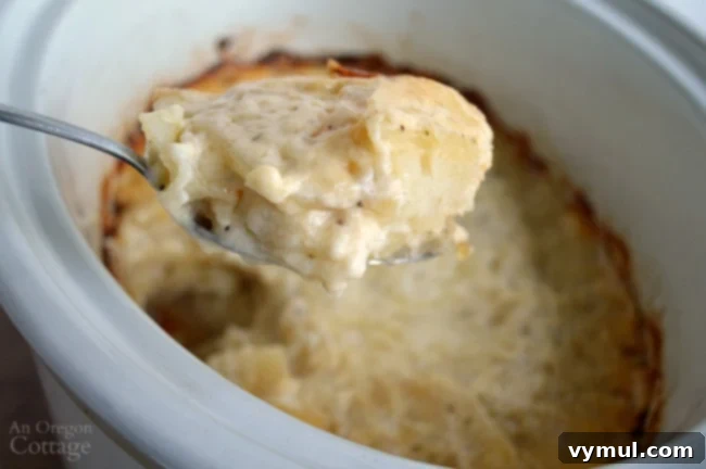 Podcast 65: Unconventional Thanksgiving: Family Revelations and Bold Bites 6 Easy Slow Cooker Garlic Scallop Potatoes