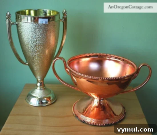 plastic-trophies-before