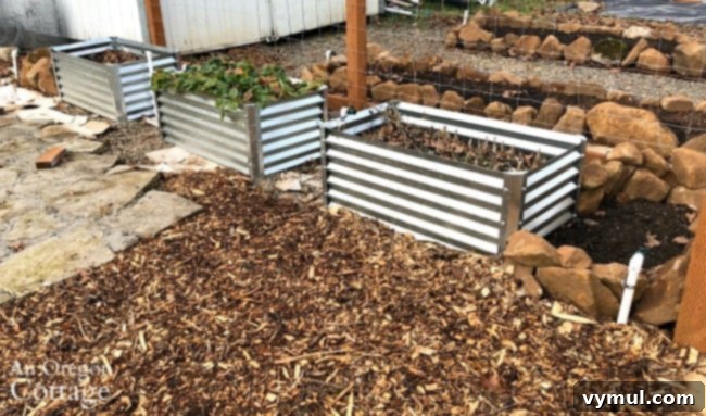 Raised bed vegetable garden finished water system