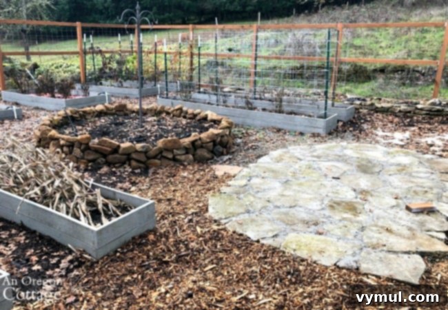 raised bed vegetable garden-December 2019