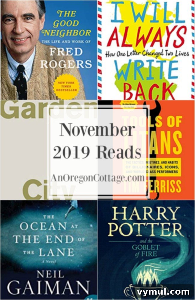 November 2019 books read