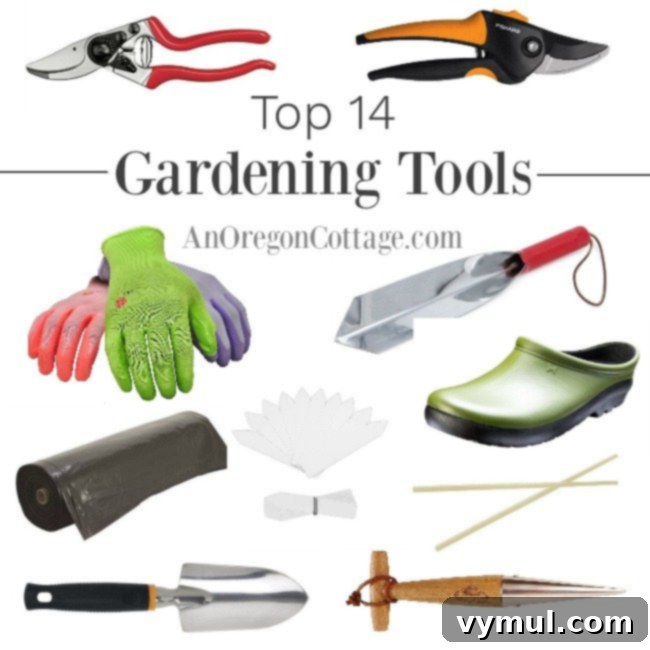 A selection of 14 must-have gardening tools arranged for optimal visibility, highlighting essential equipment for successful gardening.
