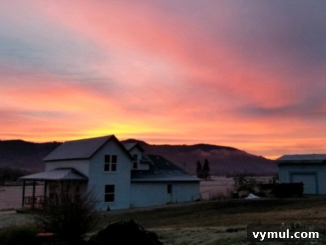 A beautiful December sunrise casting warm light over a farmhouse, symbolizing hope and new beginnings for 2020.