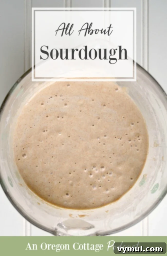 Podcast Ep.73: The Sourdough Masterclass 2 Podcast Ep73-all about sourdough