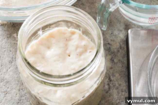 Podcast Ep.73: The Sourdough Masterclass 3 cooks-illustrated-sourdough-culture