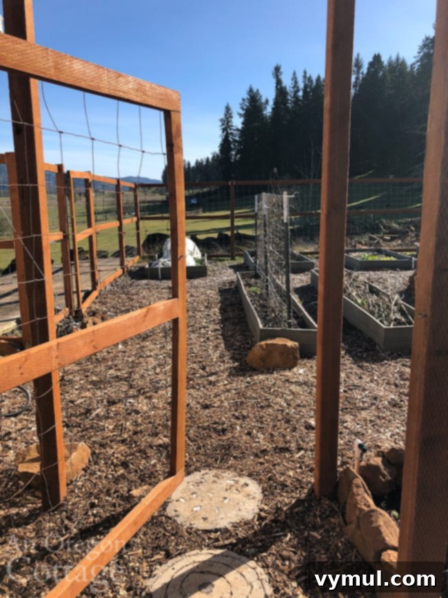 gate into Feb-20 vegetable garden