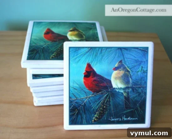 bird-coasters-before