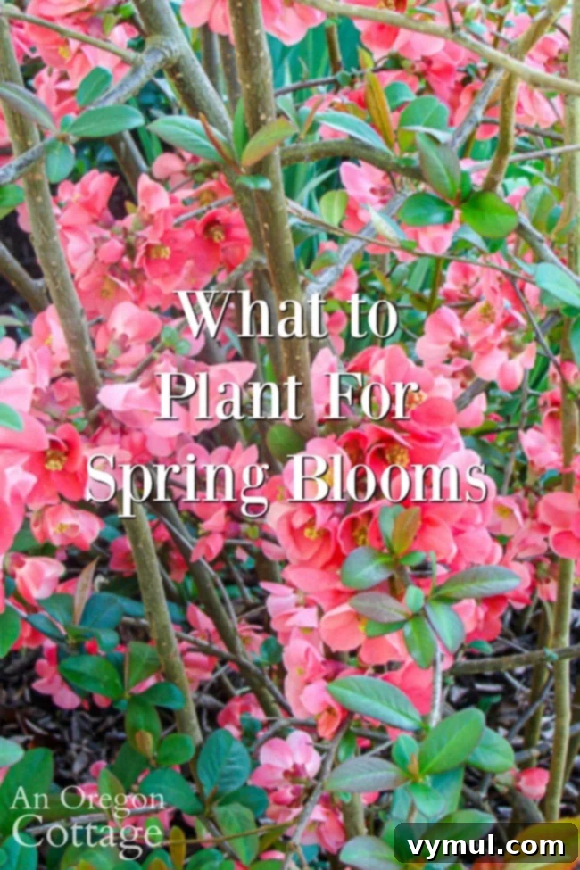 what to plant for spring blooms