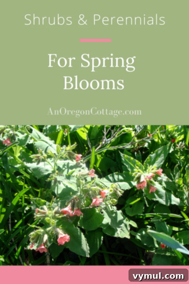 shrubs-perennials-for-spring-blooms
