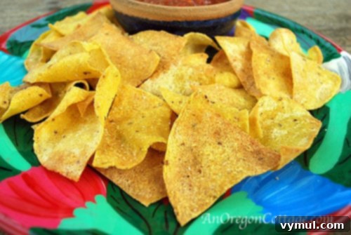 Homemade tortilla chips