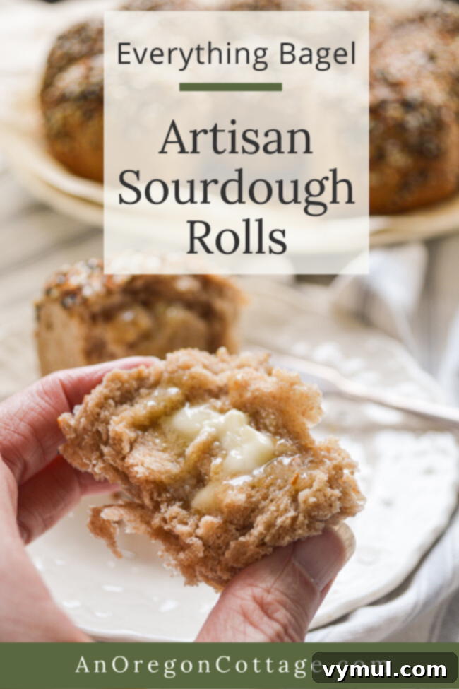 everything bagel artisan sourdough rolls