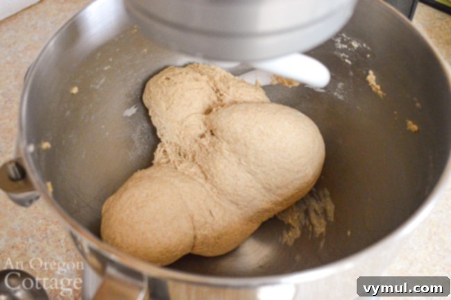 artisan sourdough rolls dough in mixer