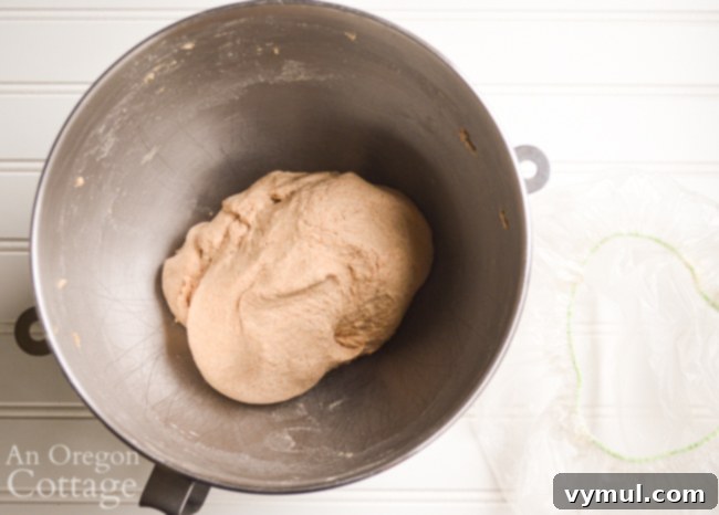 artisan sourdough rolls dough before rise