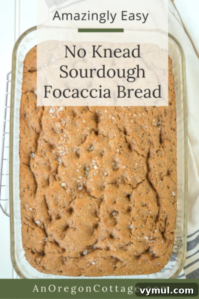 Close-up of amazingly easy no knead sourdough focaccia bread with a delicious crust, perfect for using sourdough discard