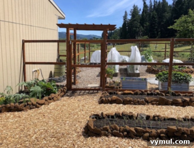 Reclaimed Wood Tips and Tricks 3 front of vegetable garden in June