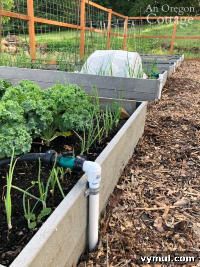 Episode 5: Garden Bed Soaker Hose Setup and DIY Rustic Metal Table 2 DIY Auto Watering System with custom soaker hose lengths for vegetable garden.