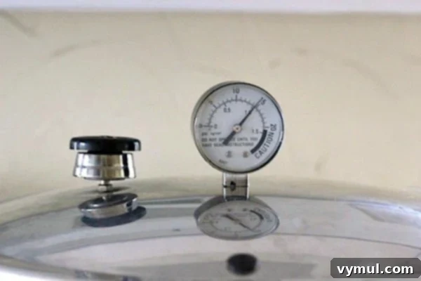 Homemade Chicken Stock Pressure Canned Perfection 3 pressure-canner-dial for chicken stock