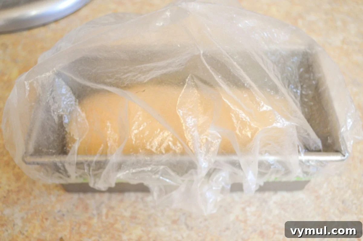dough rising in loaf pan with plastic cover