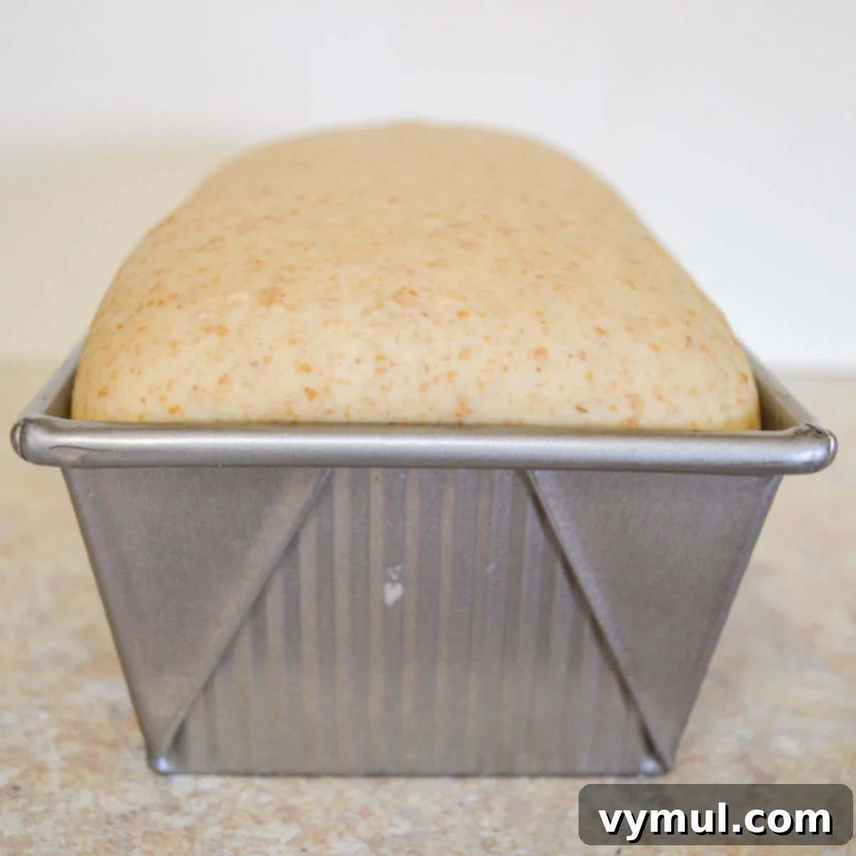sourdough sandwich bread dough rising in pan