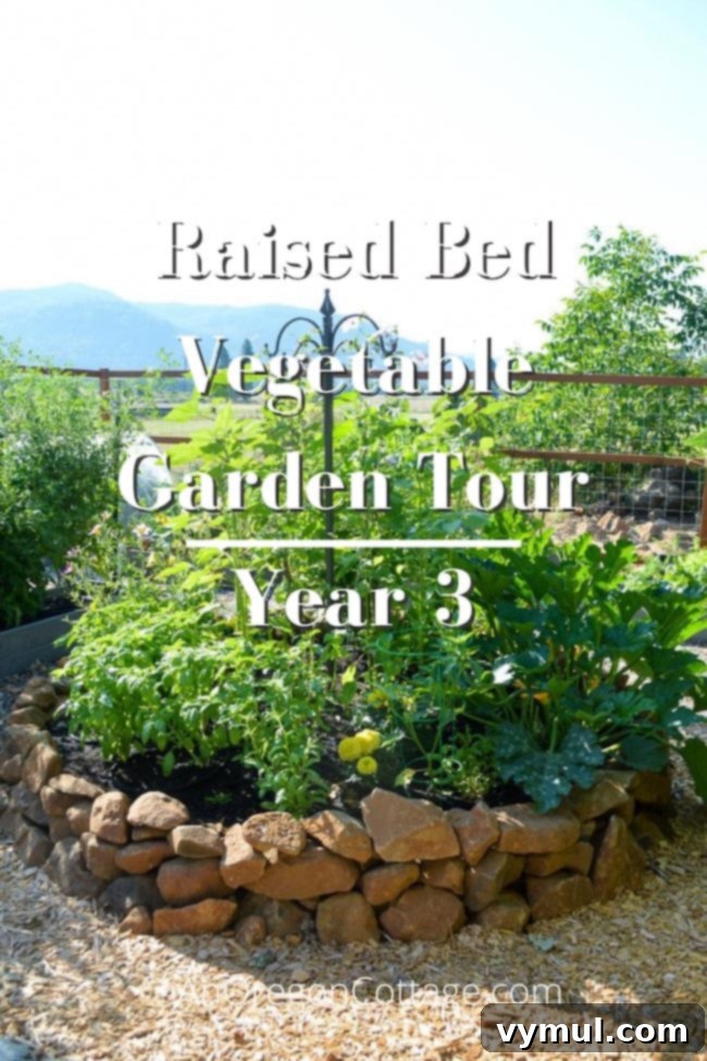 Thriving Raised Beds: Year 3 Summer Vegetable Garden Tour 2 raised bed garden tour-year3