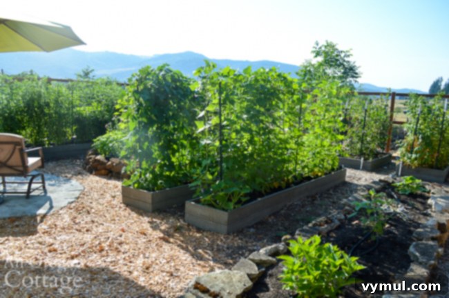 Thriving Raised Beds: Year 3 Summer Vegetable Garden Tour 13 corner garden with view-July
