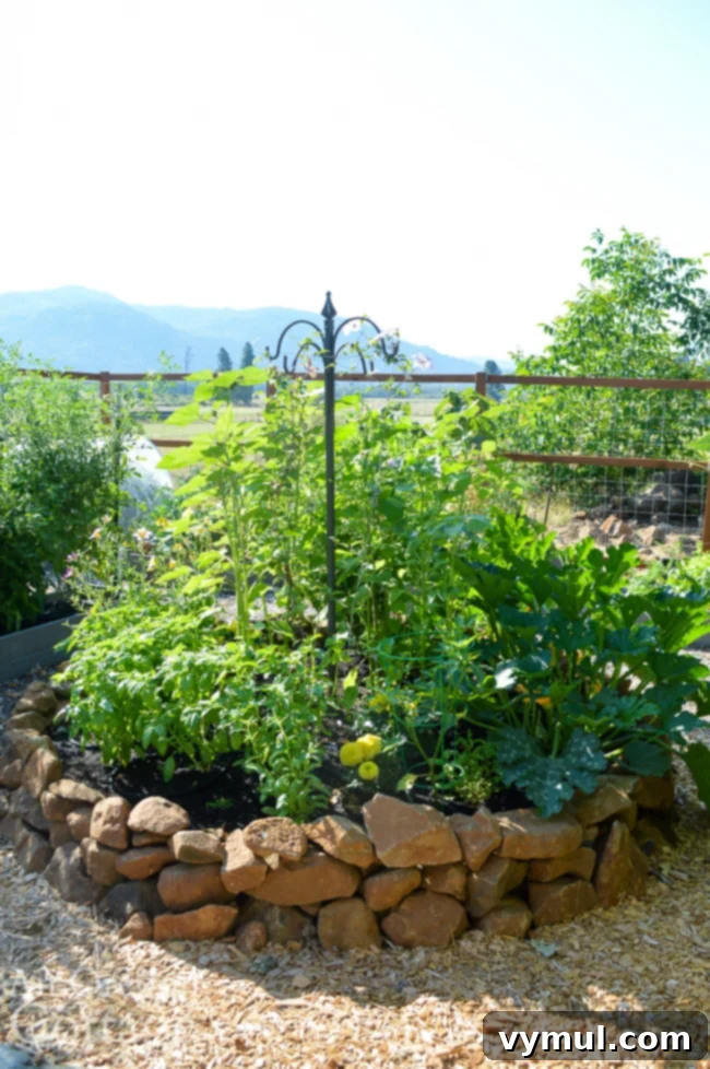 Thriving Raised Beds: Year 3 Summer Vegetable Garden Tour 4 round raised rock bed late July